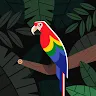 CoolGuy profile avatar