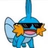digudgumid profile avatar