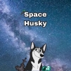 SpaceHusky profile avatar
