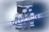 YushinuMC profile avatar