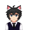 N_z profile avatar