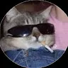 Tom profile avatar