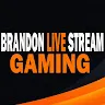 brandonswinson487 profile avatar