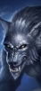 WOLFY 9107 profile avatar