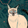 enginee404 profile avatar