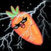 LaCarotteRebel profile avatar