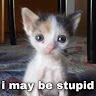 MischievousFeline profile avatar