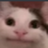 NPC profile avatar