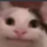 NPC profile avatar