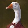 HatMan profile avatar