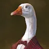HatMan profile avatar