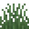 Grass profile avatar