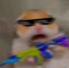 camelhamster profile avatar