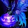Supernova3695YT profile avatar