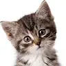 Robinepro777YT profile avatar