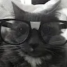 ItzTai profile avatar