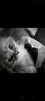 Ekelip profile avatar