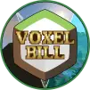 VoxelBill profile avatar
