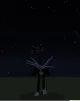 Webster1199w profile avatar