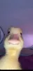 Crystlu profile avatar