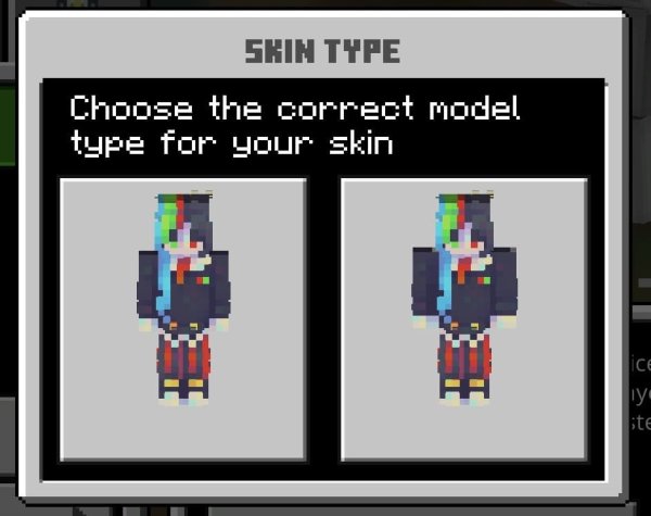 Skin type in Minecraft
