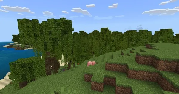 Entry into Mangrove Swamps