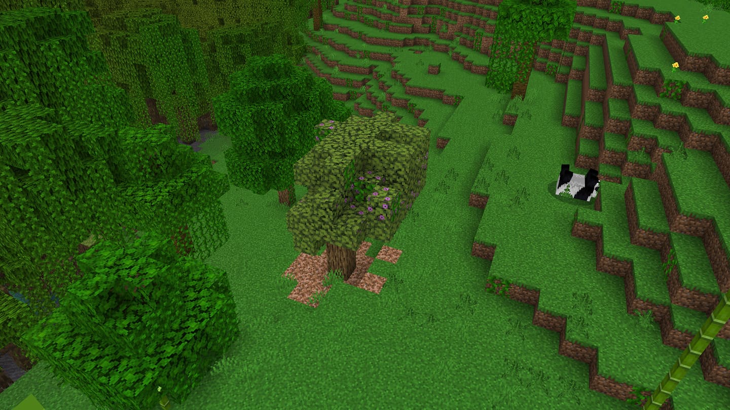 Minecraft seed: Mangrove swamp, jungle and mutated savanna close