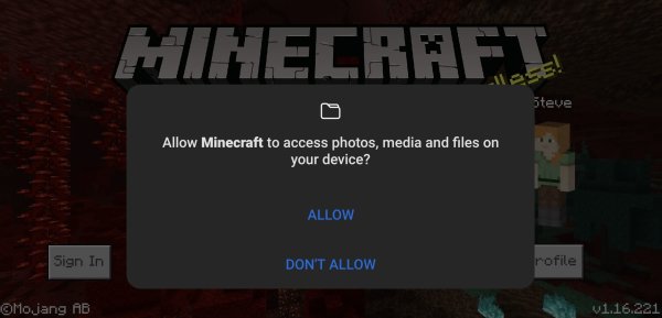 Allow Minecraft to access media