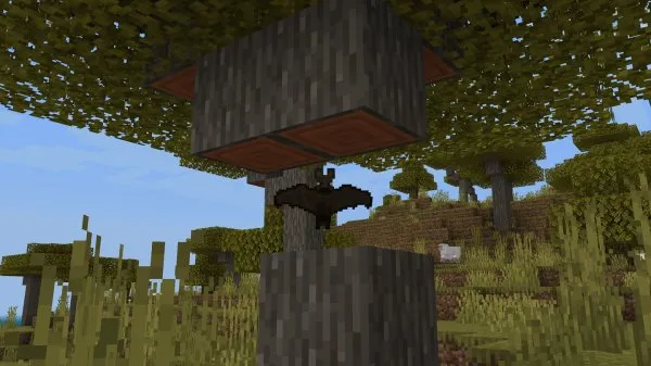 Bat
