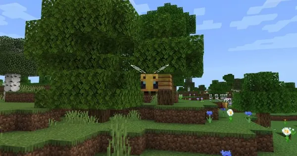 Bee