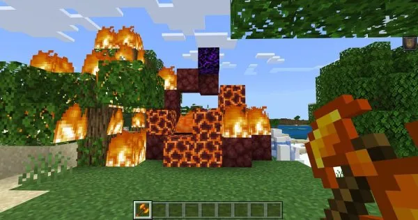 Fire cage