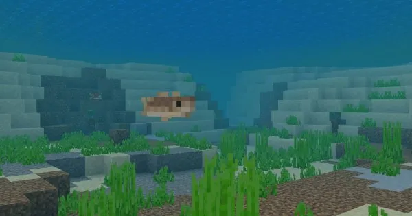 Cod