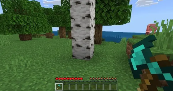 Diamond axe in the hand