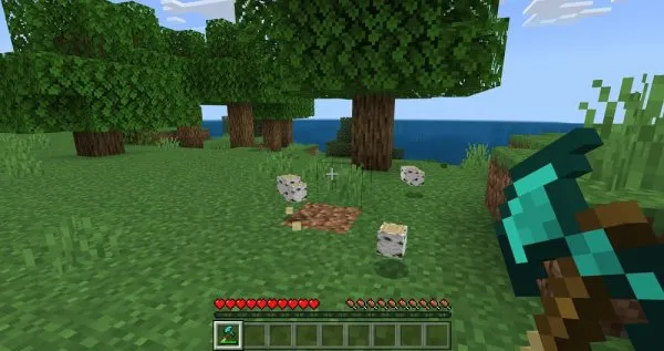 Fallen logs