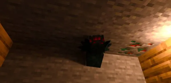 Cave Spider with RTX