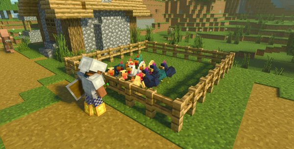 Chickens farms