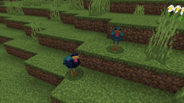 New chickens texture and model