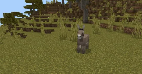 Donkey