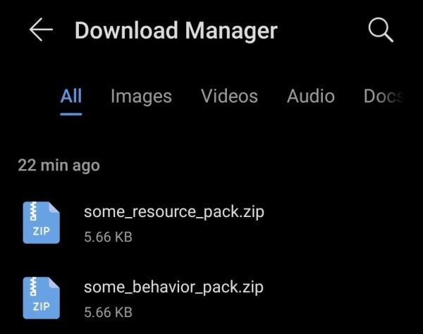 Download manager with two zip files.