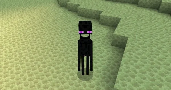 Enderman