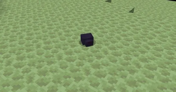 Endermite