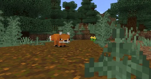 Fox