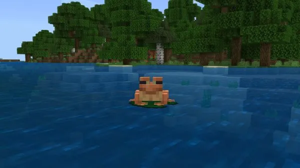 Frog
