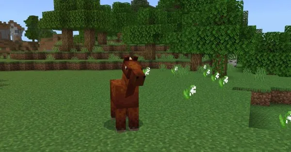 Horse