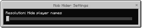 Hide Player name option