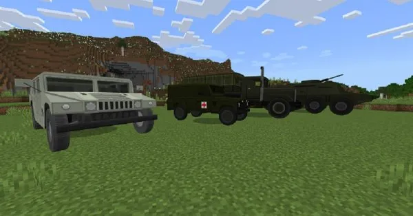 Motor Vehicles