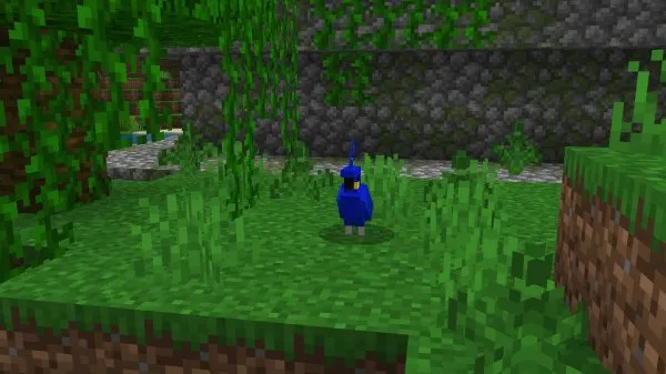 Blue Parrot