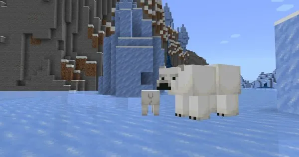 Polar Bear