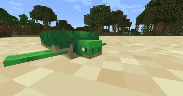 Sea Turtle