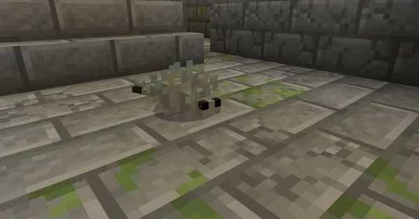 Silverfish